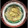 MEXICO FEDERALE NARCOTICS AGENT MINI BADGE PIN